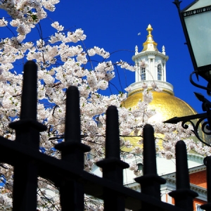 Mass State House