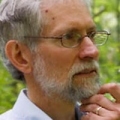 Lawrence Strauss